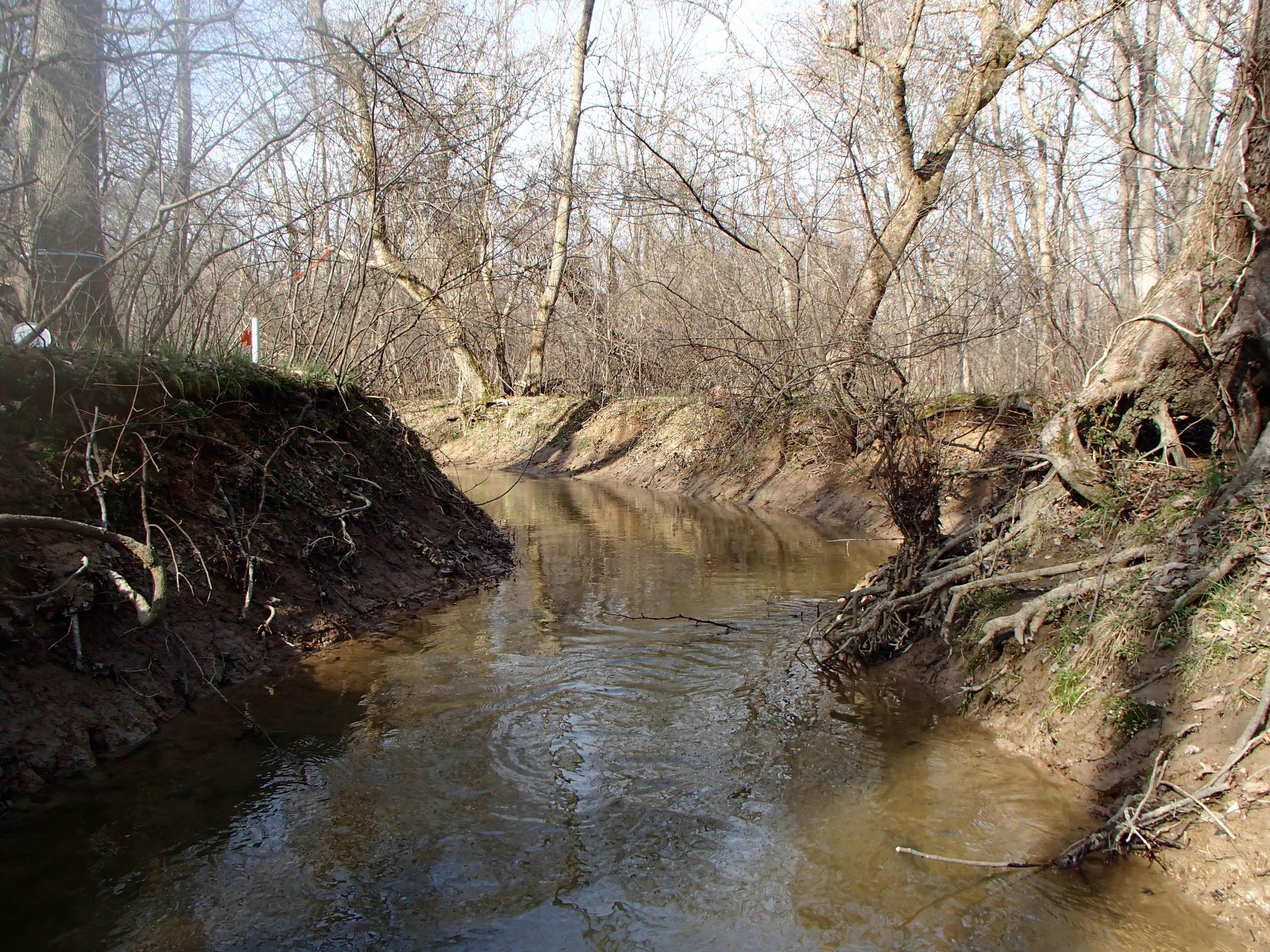 Field photo showing stream conditions at site WEST-110-X-2016_midpoint looking upstream